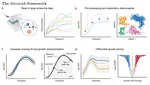 Statistical end-to-end analysis of large-scale microbial growth data with DGrowthR