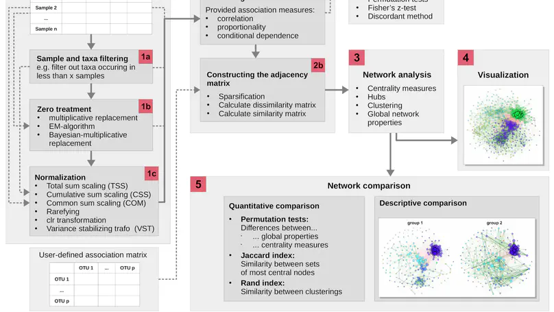 NetCoMi: network construction and comparison for microbiome data in R